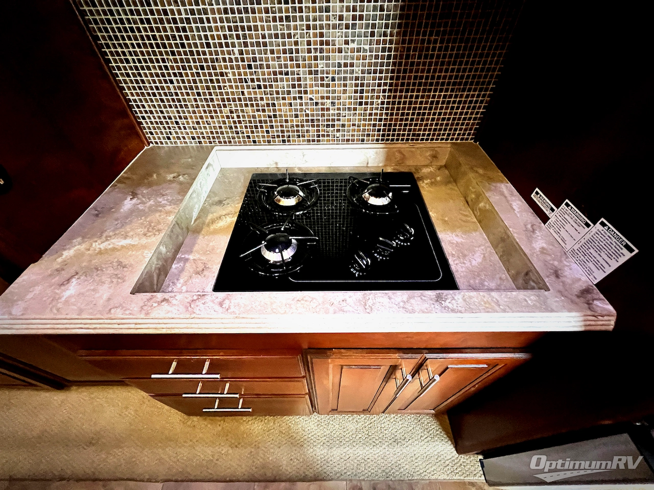 2013 Dynamax Trilogy 3800RL Photo 9