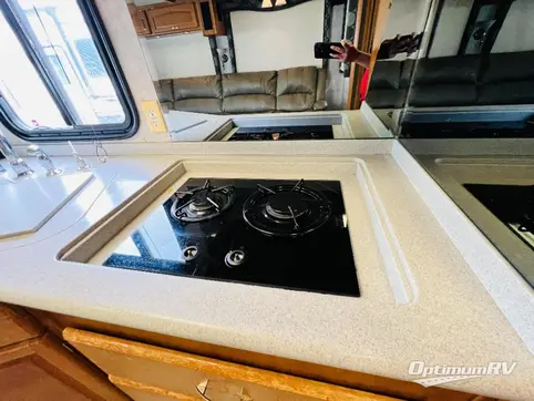 2007 Fleetwood Pace Arrow 33V RV Photo 3