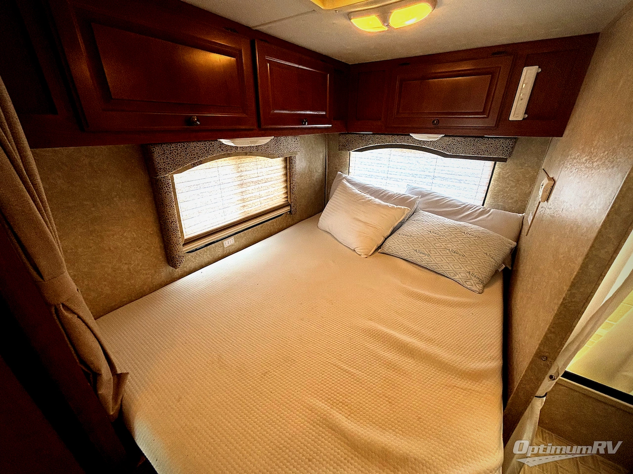 2010 Thor FREEDOM ELITE 21C Photo 14